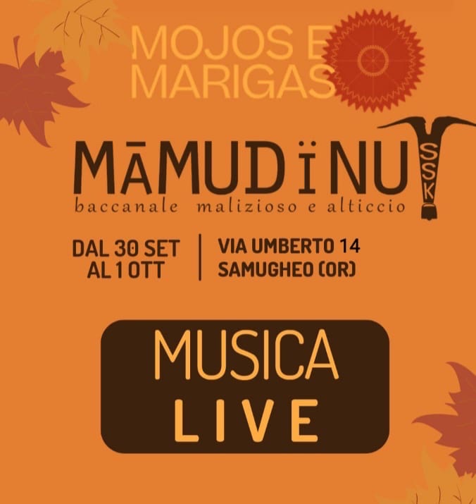 mamudinu-230930